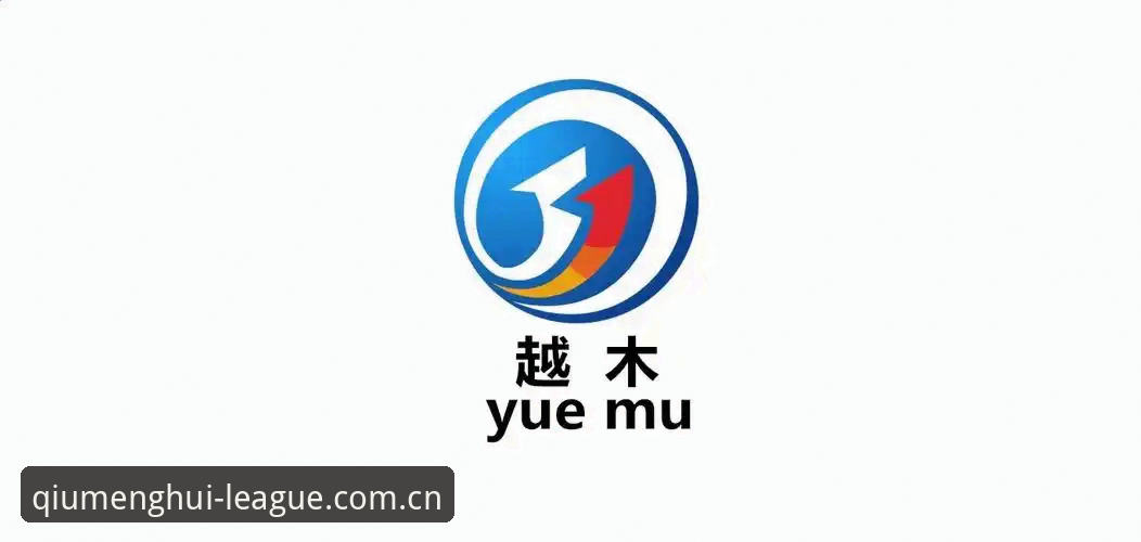 2025年球盟会官网入口版本更新，林浩发现了一个值得注意的变化